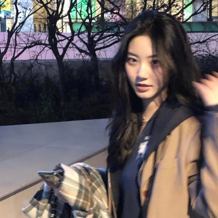 沙普的伙伴