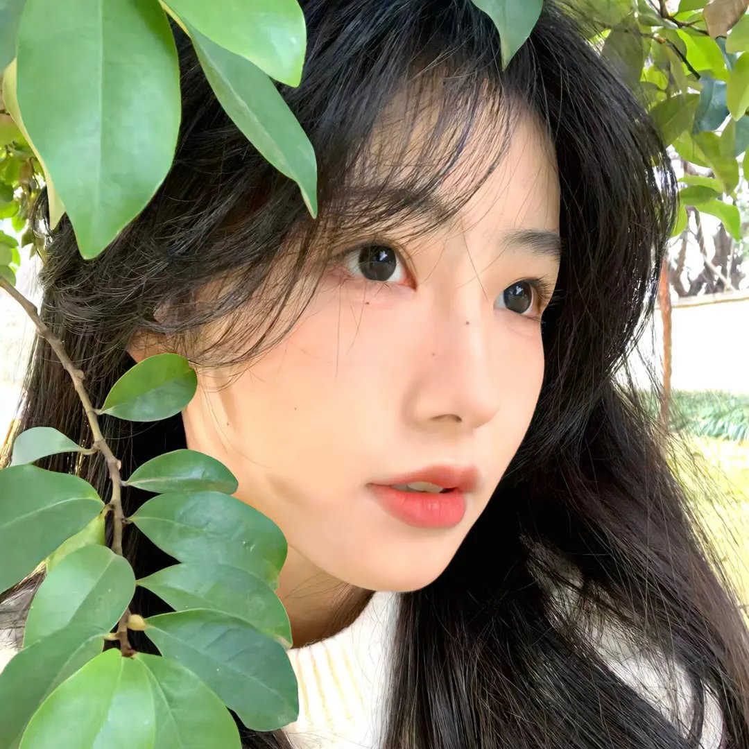 机械画皮